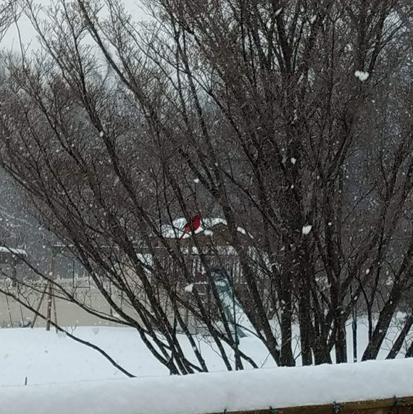 Meet your Posher, Thomas - Picture 1 of 1